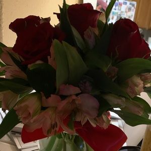 Meet your Posher, Bilma